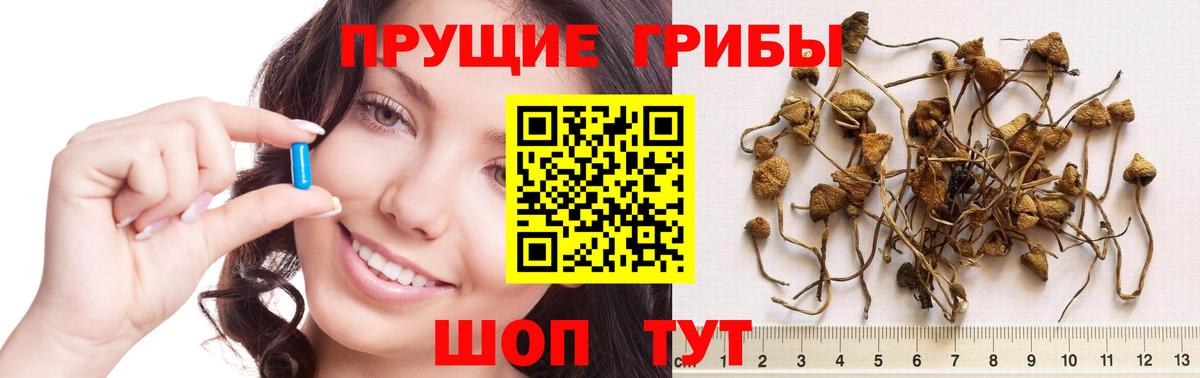 Галлюциногенные грибы ЛСД  Вход с VPN  Галлюциногенные грибы Magic Shrooms  Отрадный 