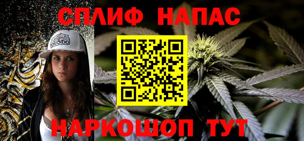 Марихуана гибрид Отрадный